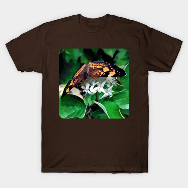 Butterfly on Flower T-Shirt by AlondraHanley